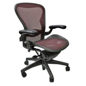 Herman Miller Aeron Chair Purple Lumbar Pad