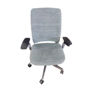 Steelcase Amia Chair Gray & Platinum